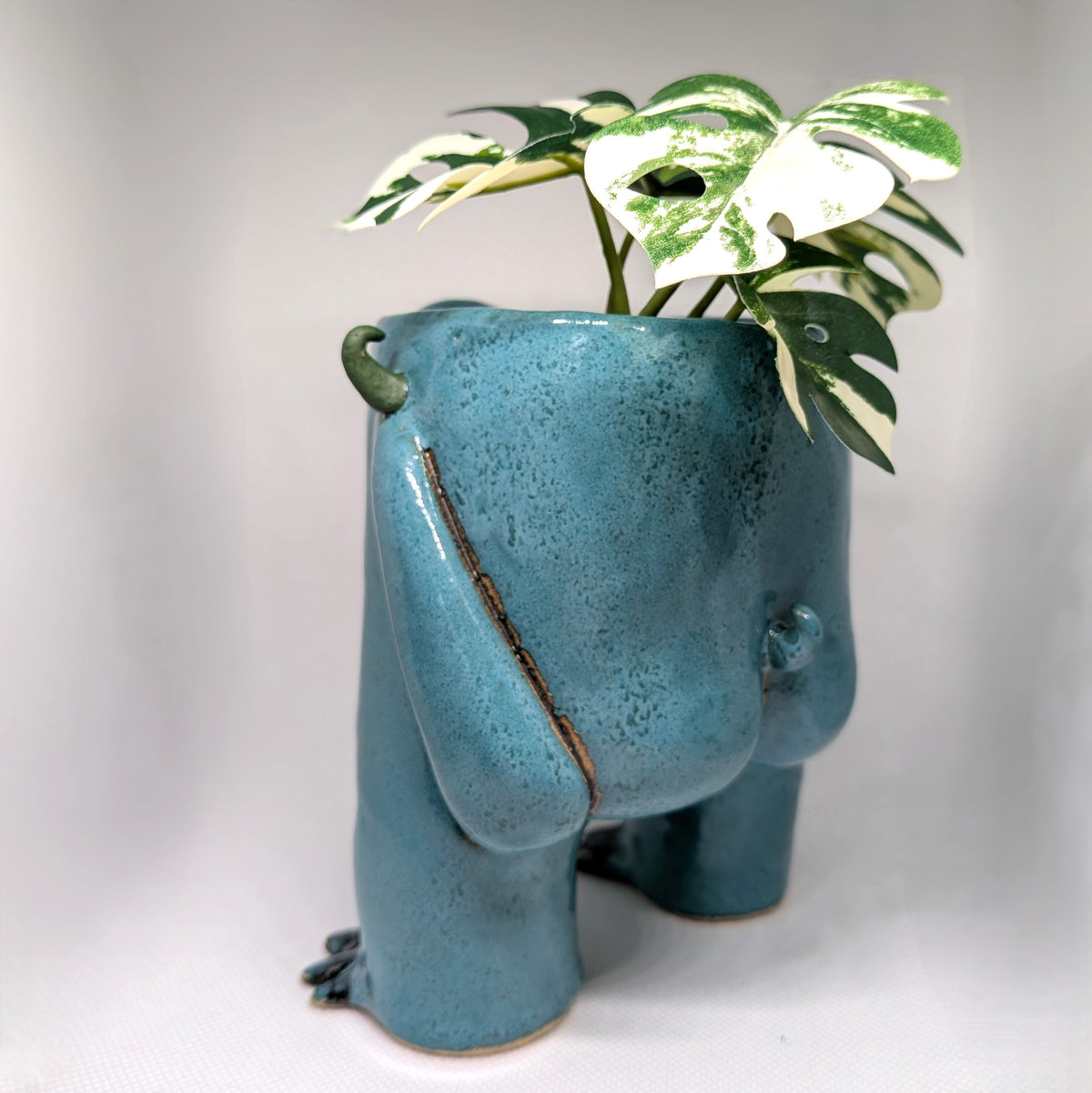 Bob the Monster Planter